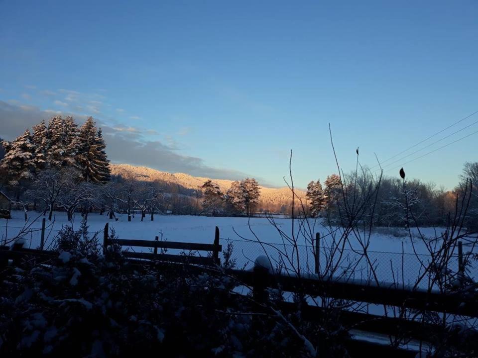 Pension Pîrîu' Morii Gura Humorului Extérieur photo